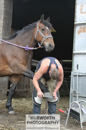 Farrier 144