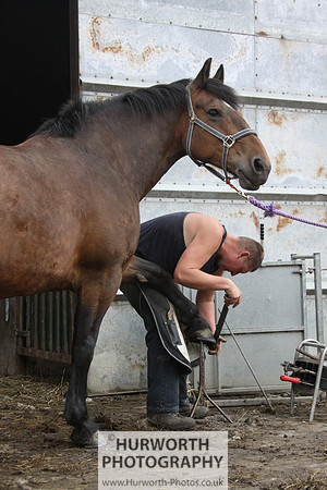 Farrier 145