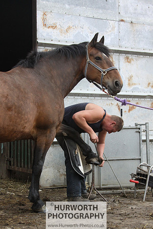 Farrier 146