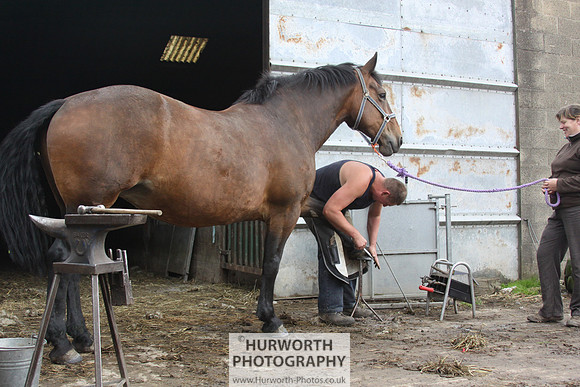Farrier 147