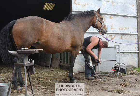 Farrier 148