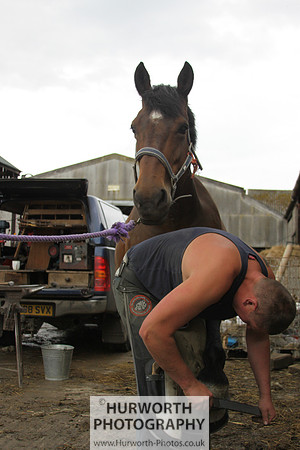 Farrier 149