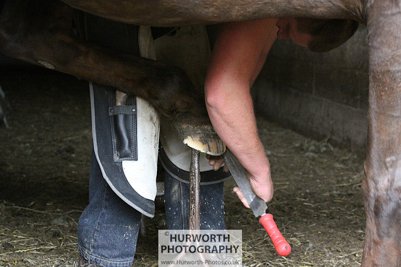 Farrier 002