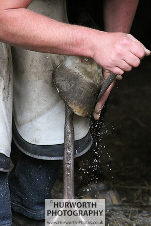Farrier 005