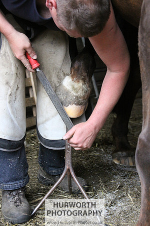 Farrier 008