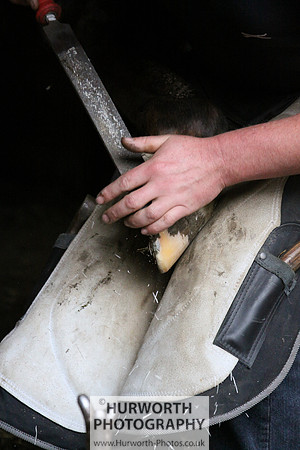 Farrier 009