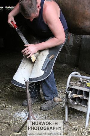 Farrier 010