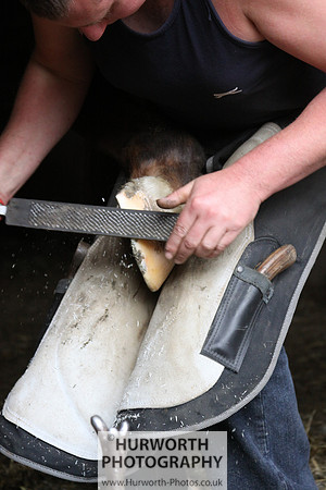 Farrier 011