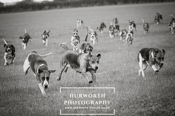 Hurworth Hunt 440