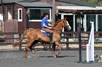 SP 137