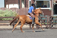 SP 148