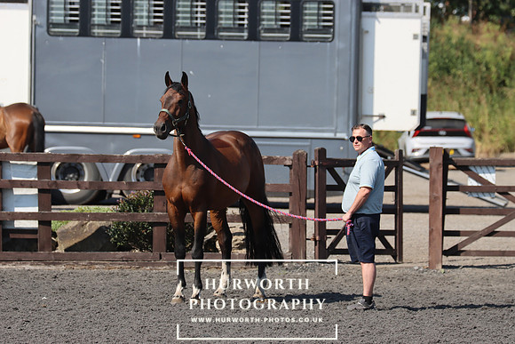 SP 152