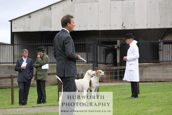 Sinnington Puppy Show 283