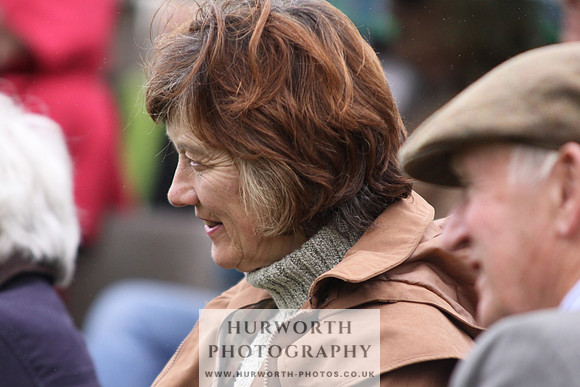 Sinnington Puppy Show 004
