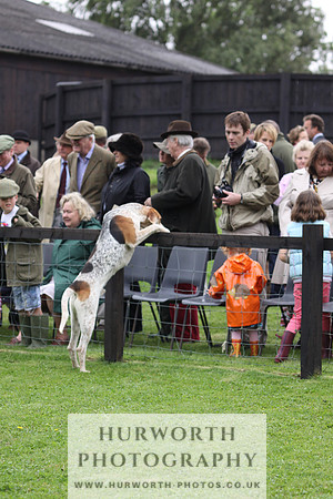 Sinnington Puppy Show 015