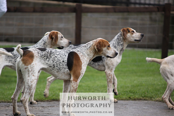Sinnington Puppy Show 018