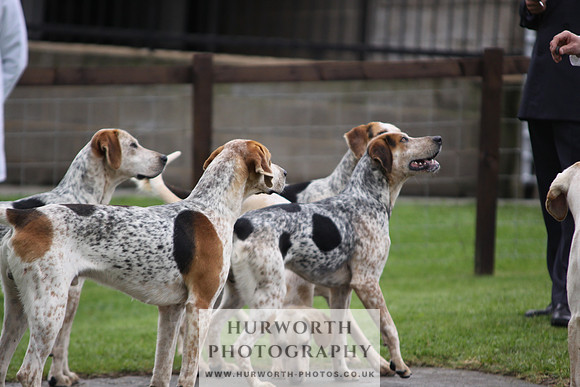 Sinnington Puppy Show 020