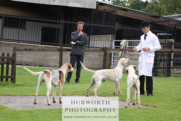 Sinnington Puppy Show 032