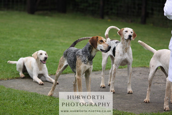 Sinnington Puppy Show 069