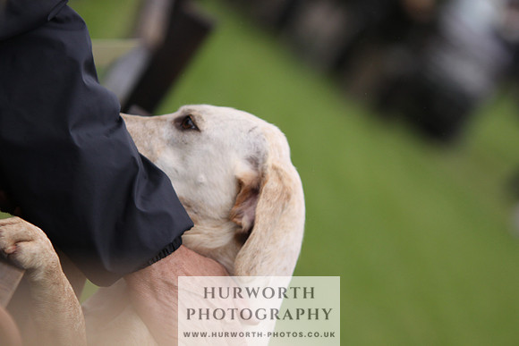 Sinnington Puppy Show 071