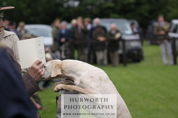 Sinnington Puppy Show 077