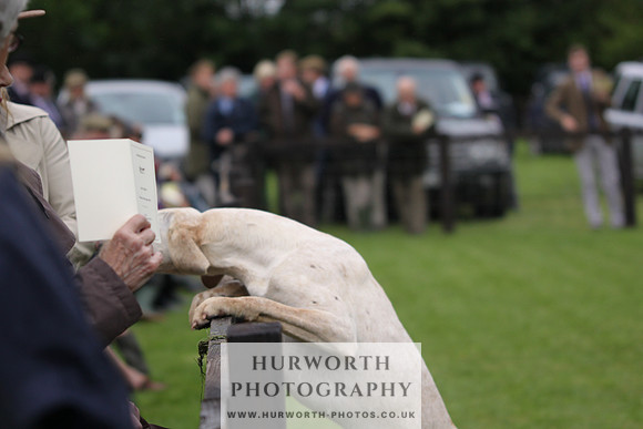 Sinnington Puppy Show 078