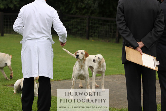 Sinnington Puppy Show 082