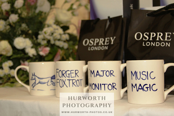 Sinnington Puppy Show 088