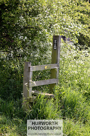 Cottage Garden 040