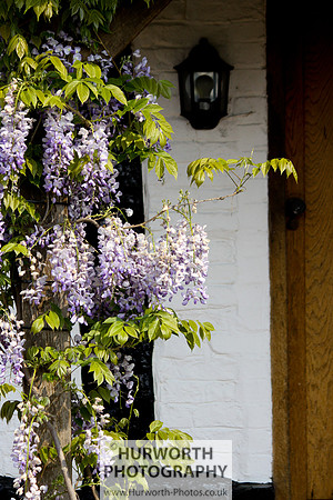 Cottage Garden 044