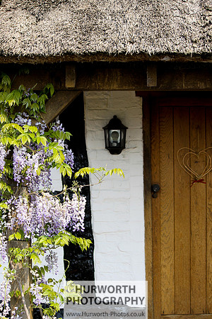 Cottage Garden 047