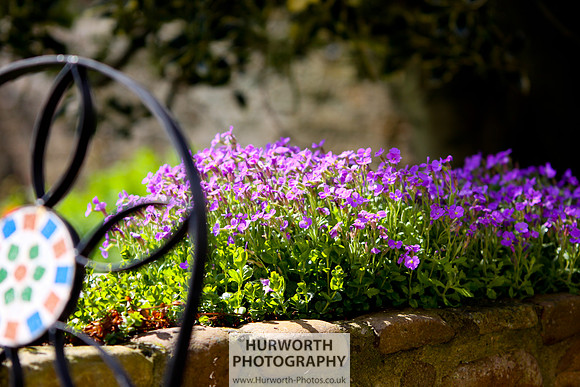 Cottage Garden 103