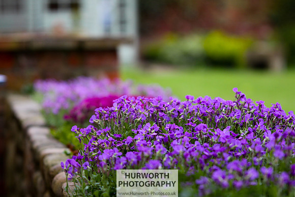 Cottage Garden 106