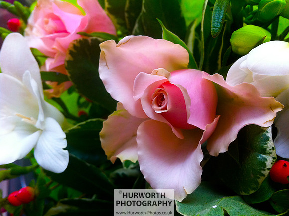 Cottage Garden 112