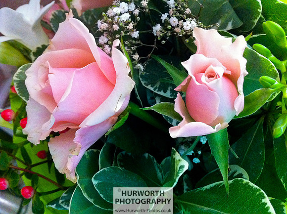 Cottage Garden 116