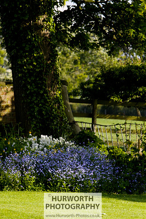 Cottage Garden 121