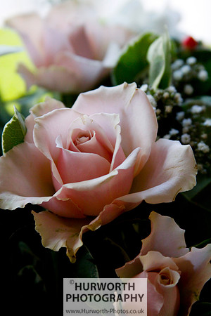 Cottage Garden 129