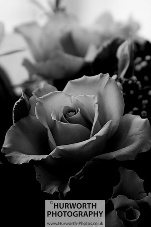 Cottage Garden 130