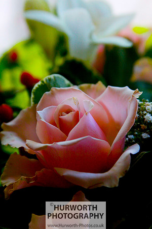 Cottage Garden 135