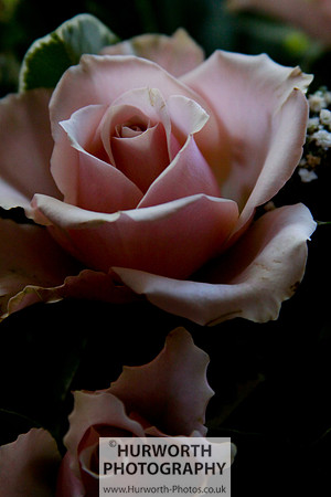 Cottage Garden 136
