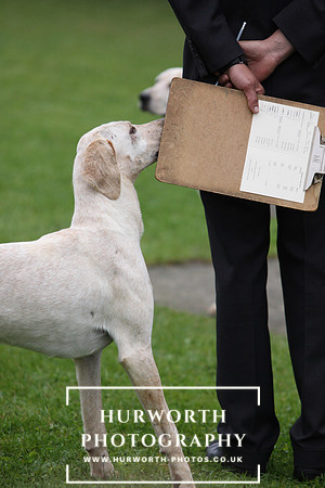 Sinnington Puppy Show 087