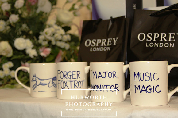 Sinnington Puppy Show 088
