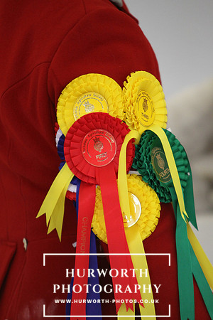 Harrogate Hound Show 074