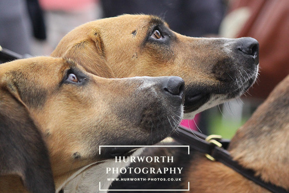 Festival of Hunting 122