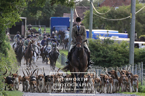 Hound Exercise-17