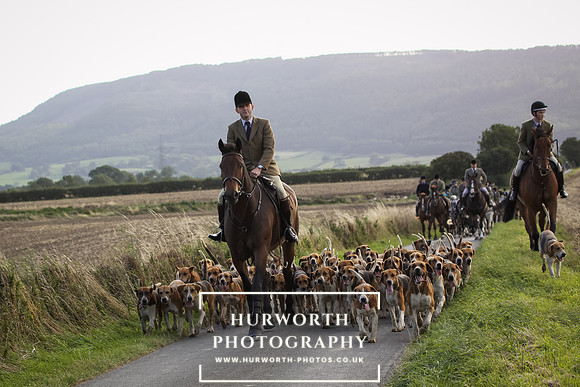 Hound Exercise-90