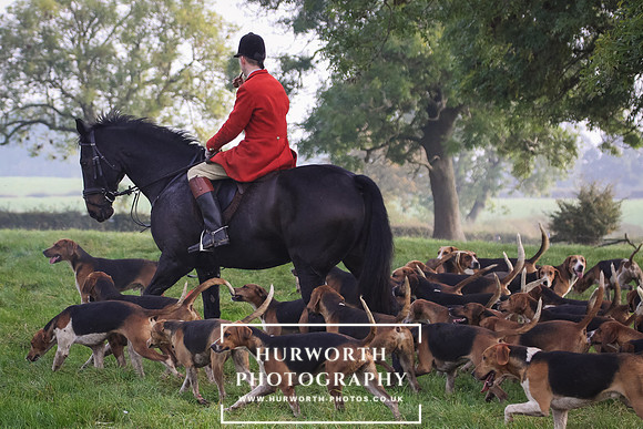 Hurworth Hunt 101