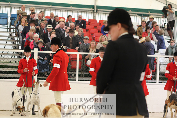 Harrogate Hound Show 008