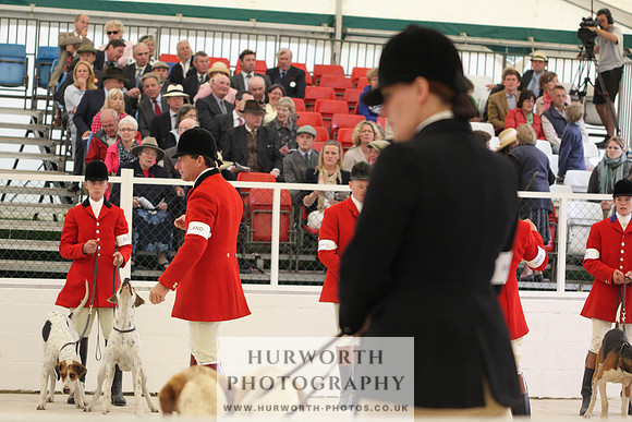 Harrogate Hound Show 009