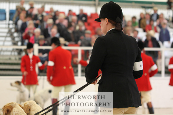 Harrogate Hound Show 010